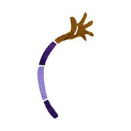 cartoon arm N70