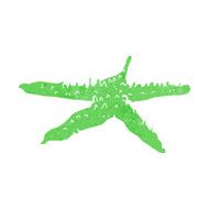 Cartoon Starfish N39
