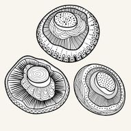 Mushrooms set