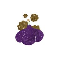 cartoon red onion N7