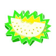 cartoon melon slice N14