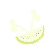 cartoon melon slice N15
