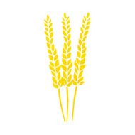Cartoon Corn N13