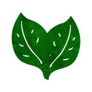 Cartoon Leaf N63