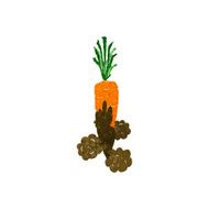 Cartoon Carrot N42