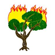 cartoon burning tree N20