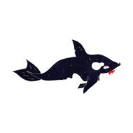 Cartoon Killer Whale N9