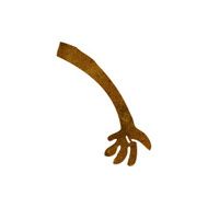 cartoon arm N84