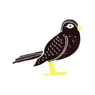 cartoon garden bird N22