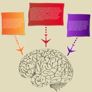 Doodle Human Brain with Infographic Diagram