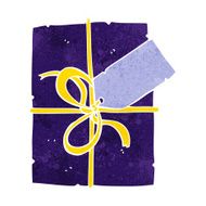 cartoon wrapped present N5