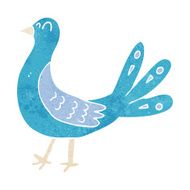 Cartoon Bird N239