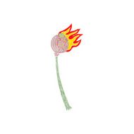 cartoon dried poppy N16