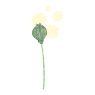 cartoon dried poppy N17