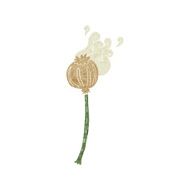 cartoon dried poppy N18