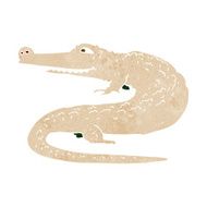 Cartoon Alligator N27