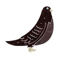 Cartoon Bird N241