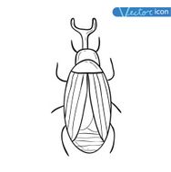 beetle cartoon bug insect icon vector illustration N29