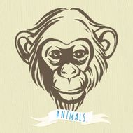 Hand drawn portrait of monkey chimpanzee N2