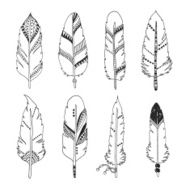Handdrawn set of feathers N4