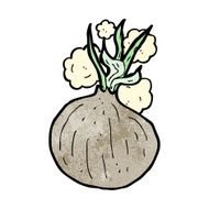 Cartoon Onion N15