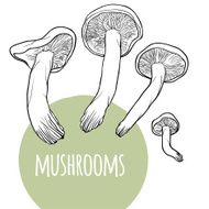 Set with mushrooms