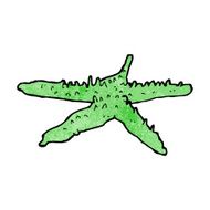 Cartoon Starfish N40