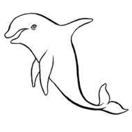dolphin N3