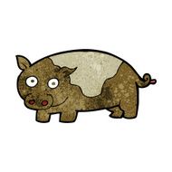Cartoon Pig N54