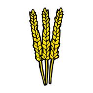Cartoon Corn N14