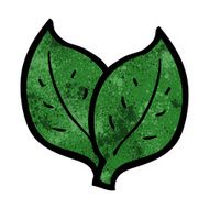 Cartoon Leaf N65