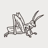 grasshopper doodle N12