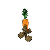 Cartoon Carrot N43