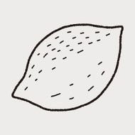lemon doodle N16