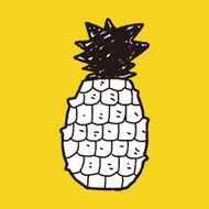 pineapple doodle N8