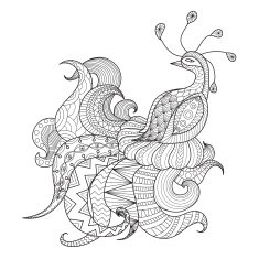 Peacock N4