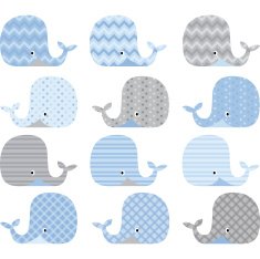 Blue and Grey Cute Whale Collections