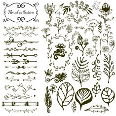 Hand-drawn floral big set with wild flowers leaves swirls border