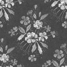 Flowers N37