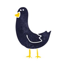 Cartoon Bird N222