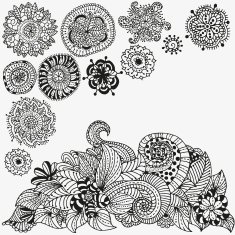 Floral doodle Black and white pattern in vector N5