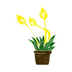cartoon orchid plant N6