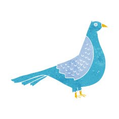 Cartoon Bird N234