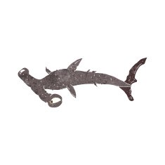 Cartoon Hammerhead Shark N10