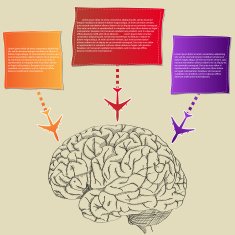 Doodle Human Brain with Infographic Diagram