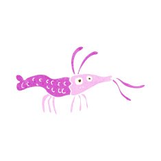 Cartoon Shrimp N34