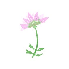 cartoon flower N291