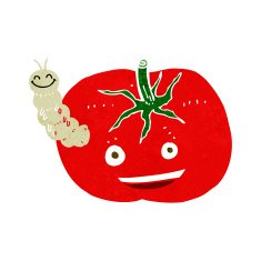 cartoon tomato with bug N6
