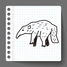 anteater doodle N7