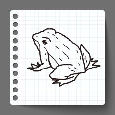 frog doodle N8